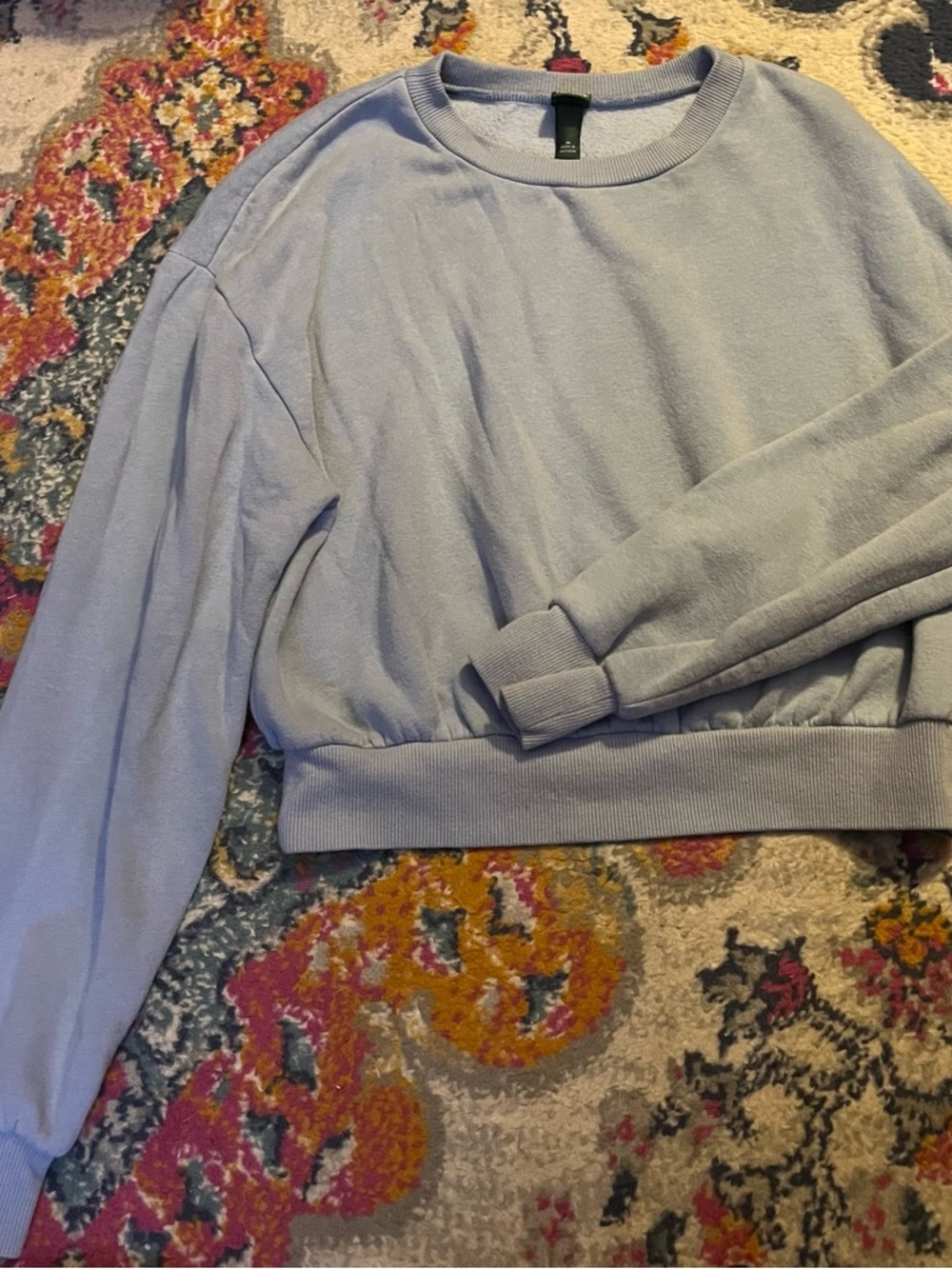 wild fable Light Blue Cropped Sweatshirt